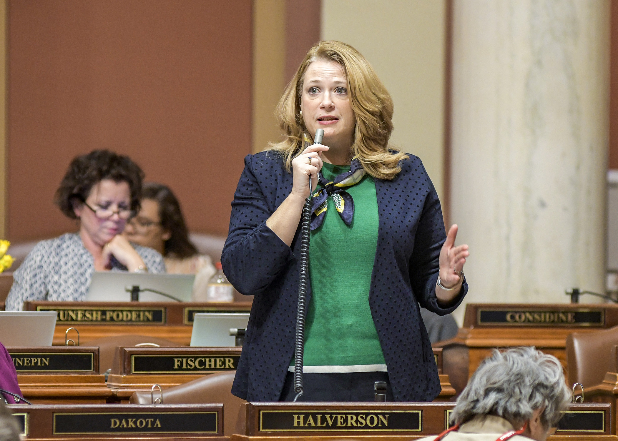 Rep. Laurie Halverson presents HF349 on the House Floor March 14. The bill would add electronic cigarettes to the definition of smoking for purposes of the Minnesota Clean Indoor Air Act. Photo by Andrew VonBank